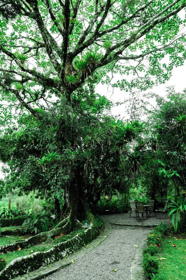 Sarapiquis Rainforest Lodge Exterior foto