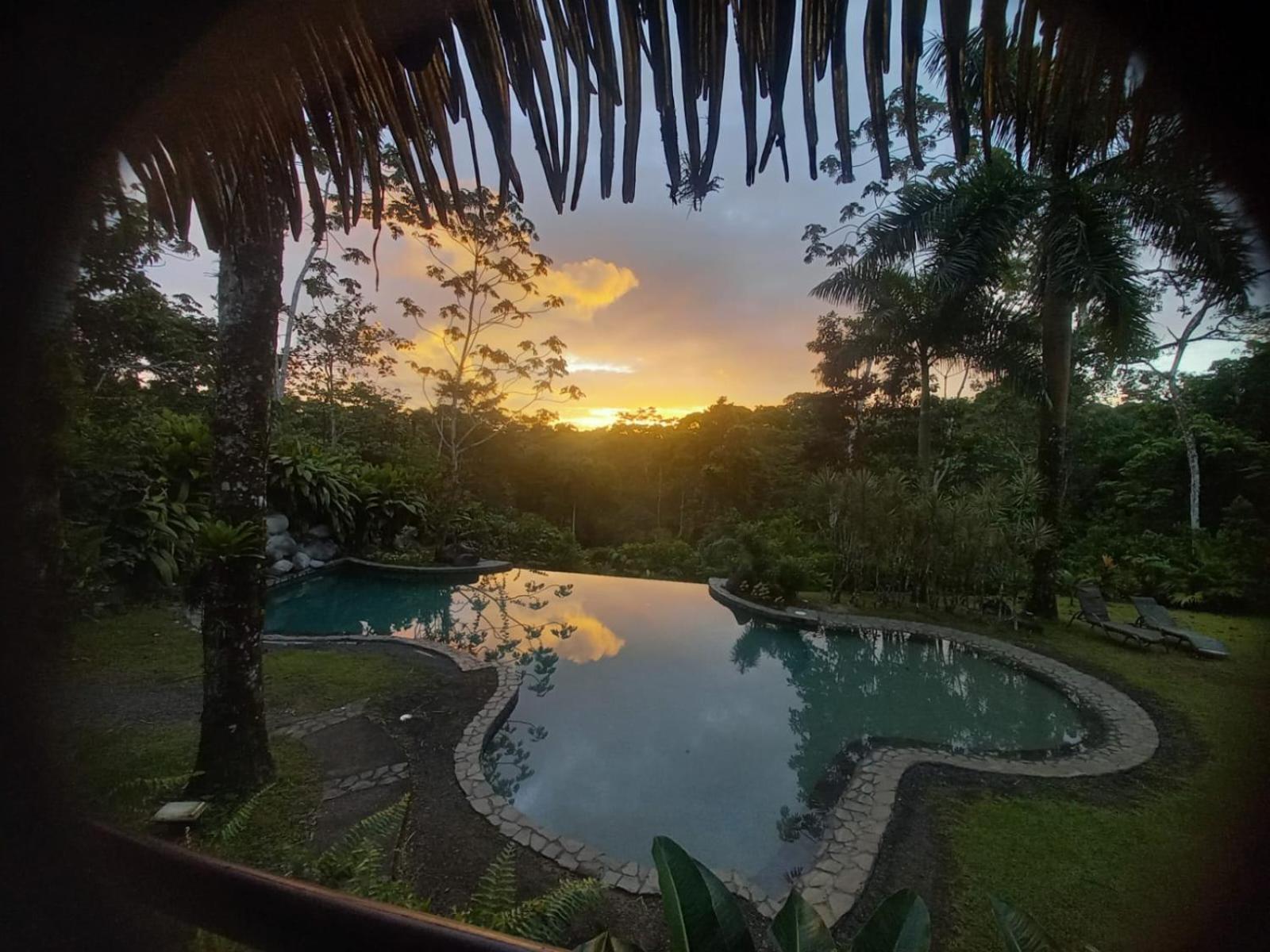 Sarapiquis Rainforest Lodge Exterior foto