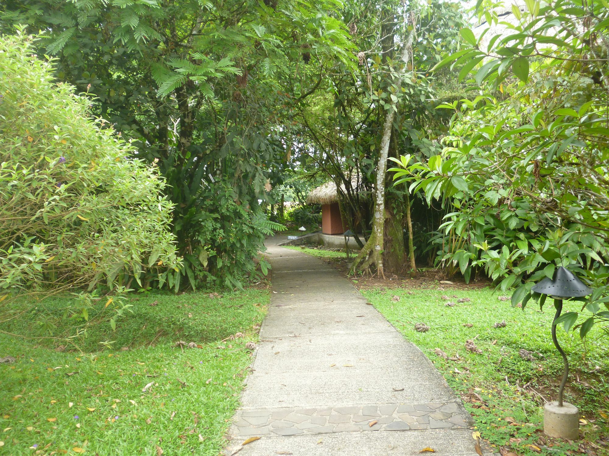 Sarapiquis Rainforest Lodge Exterior foto